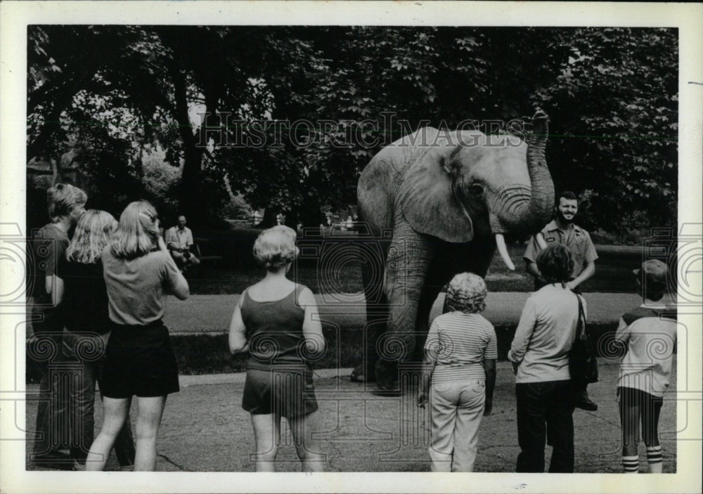 1985 Press Photo An elephant at the Brookfield Zoo - RRW69859 - Historic Images
