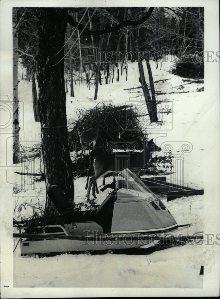 1972 Press Photo Snow Mobiles Trees Motor - RRW74785 - Historic Images