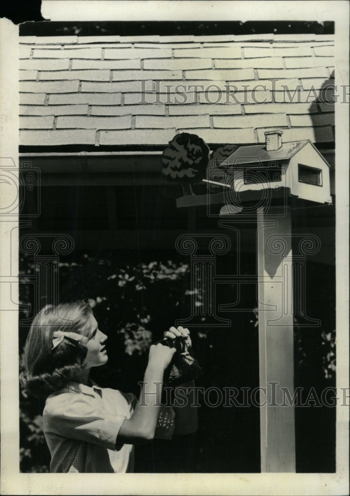 1964 Press Photo Build Your Own Bird Feeder Chicago - RRW76041 - Historic Images