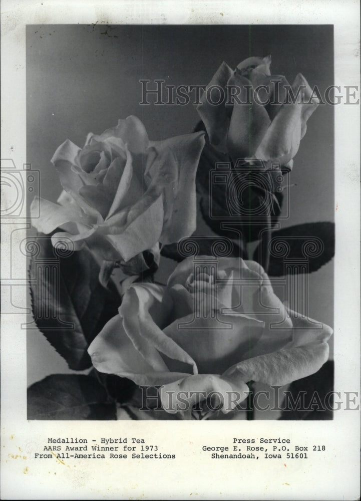 1972 Press Photo Medallion Roses - RRW76531 - Historic Images