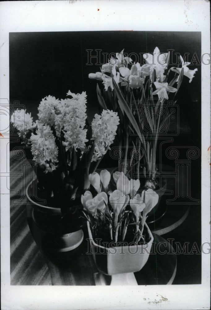 1976 Press Photo Different varieties of flowers on a va - RRW76655 - Historic Images