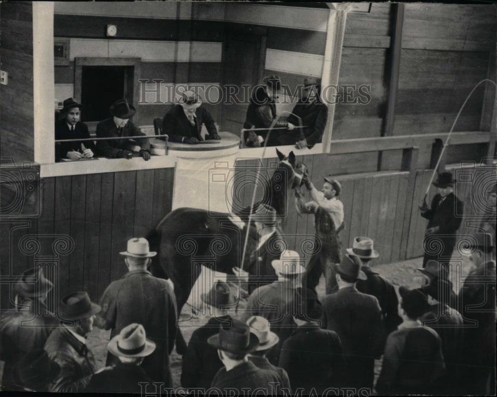 1941 Press Photo Horse Buying Ring Spectators Gallery - RRW76997 - Historic Images