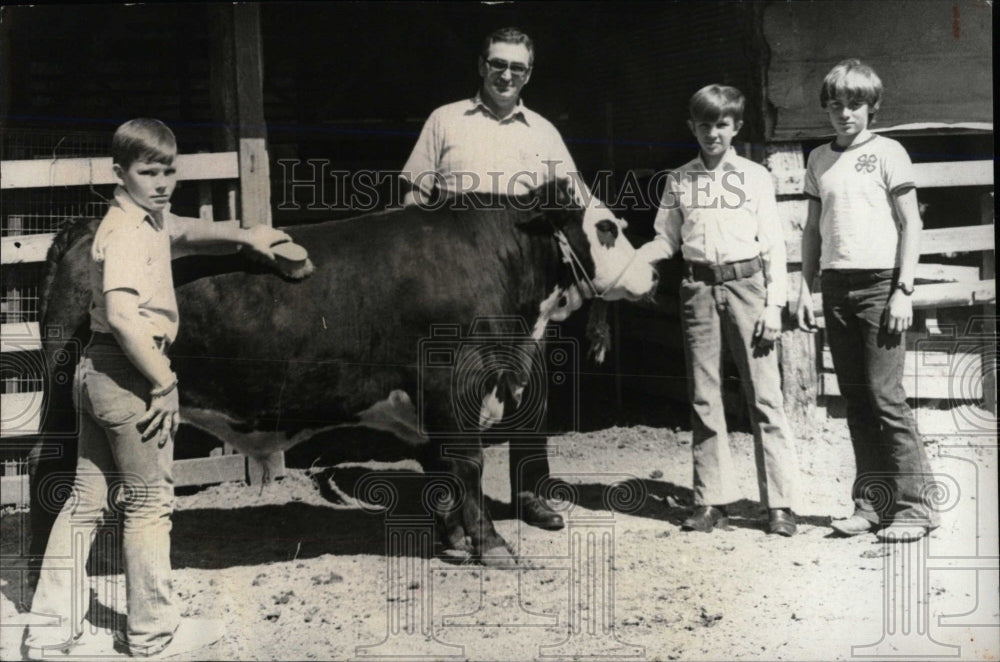 1974 Press Photo Black Hereford Steer 4H Boys Take Care - RRW77545 - Historic Images