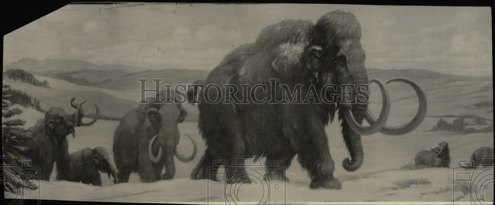 1991 Press Photo Painting of Mammoths - RRW77815 - Historic Images