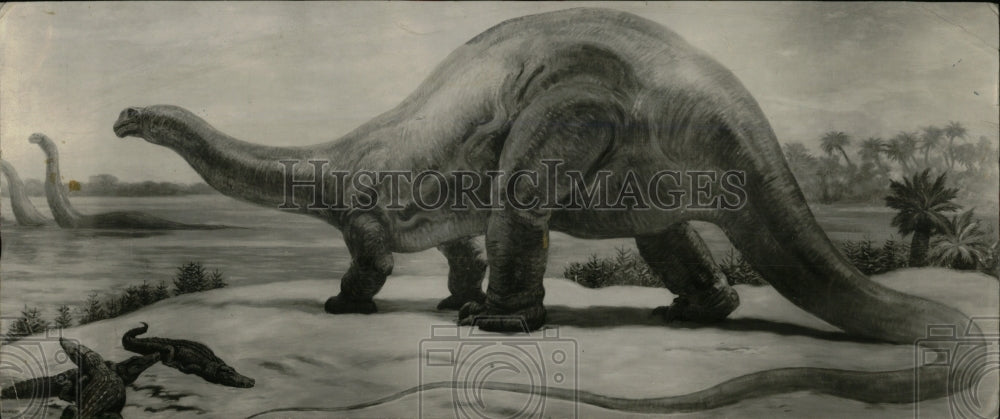 1958 Press Photo Dinosaurs Prehistoric Animals - RRW77817 - Historic Images