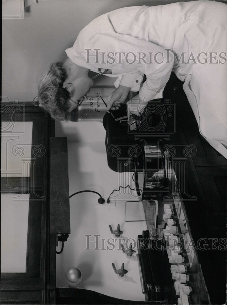 Press Photo Laboratories - RRW81691 - Historic Images