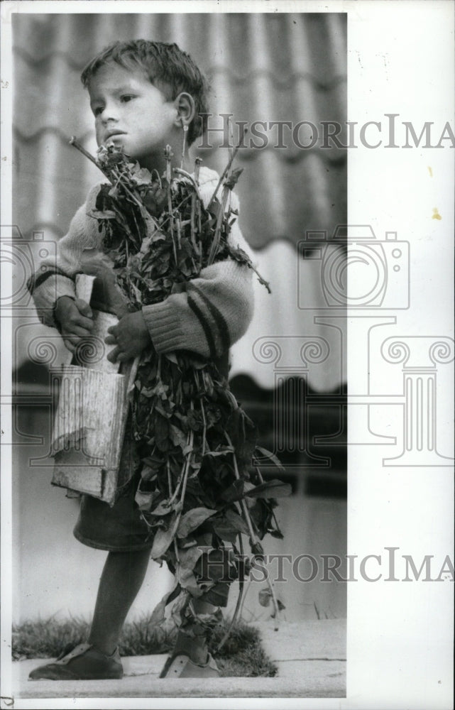 1990 Press Photo Luis Alberio start Bogota Flowers Weed - RRW81935 - Historic Images