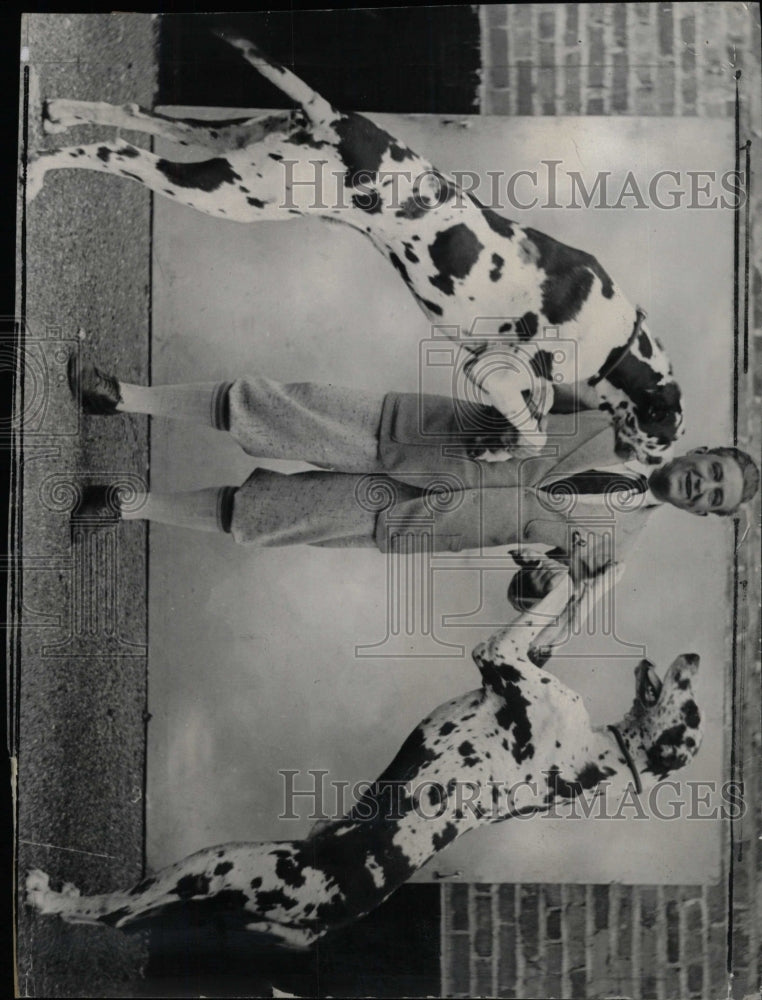 1934 Press Photo Dog Bushman Great Danes - RRW82495 - Historic Images