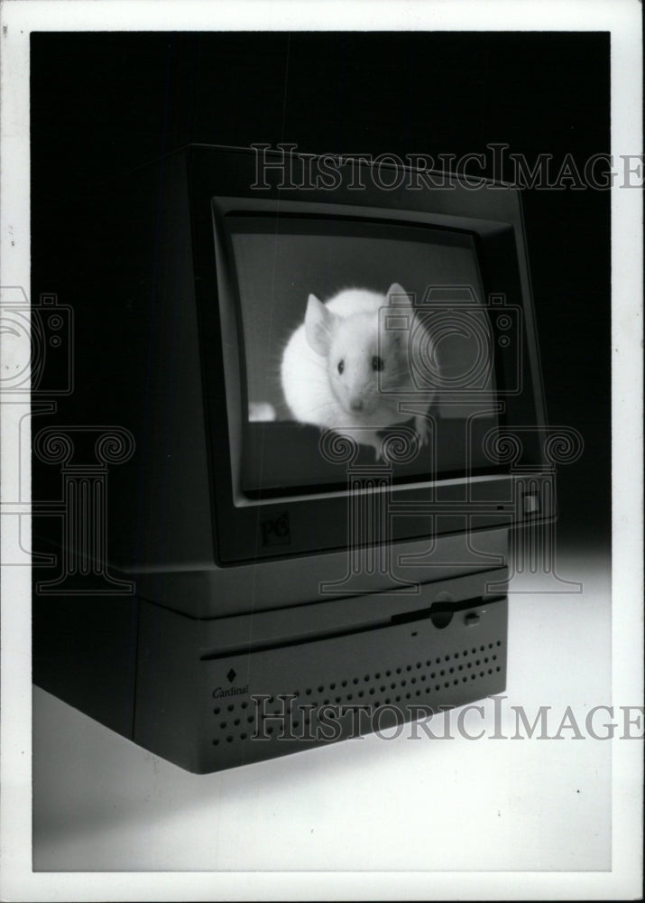 1991 Press Photo Cardinal Computers VGA Monitor Chicago - RRW82621 - Historic Images