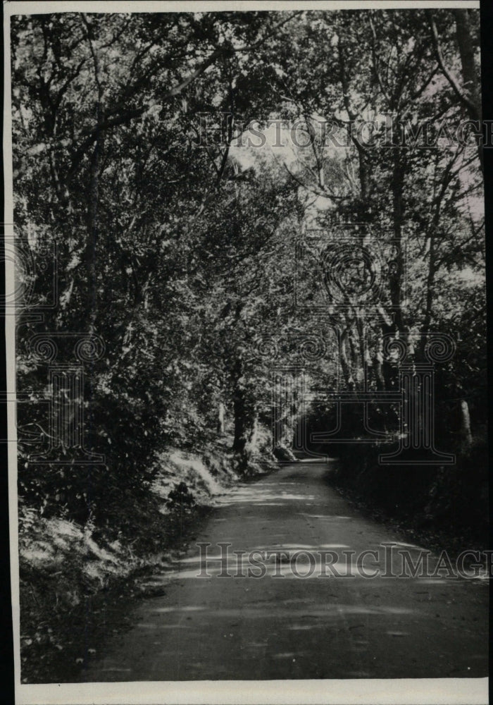 1930 Press Photo Tennyson&#39;s Lane - RRW82695 - Historic Images