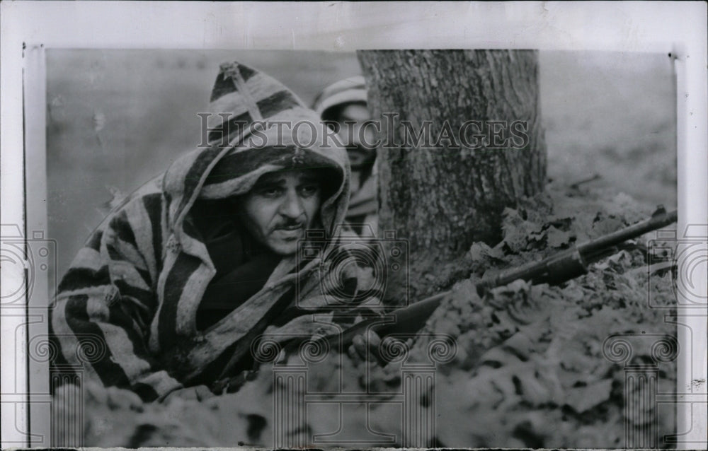1958 Press Photo Guard Tree Tunisian Guerilla Bizerte - RRW84055 - Historic Images