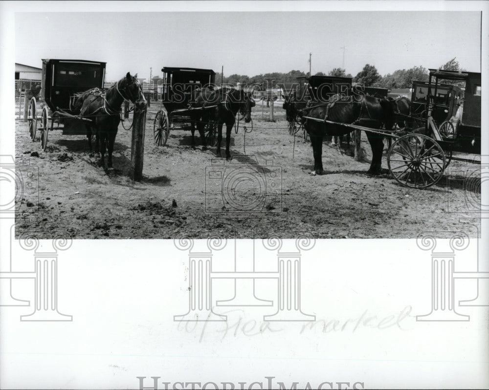 1988 Press Photo Amish House &amp; Buggy - RRW84351 - Historic Images