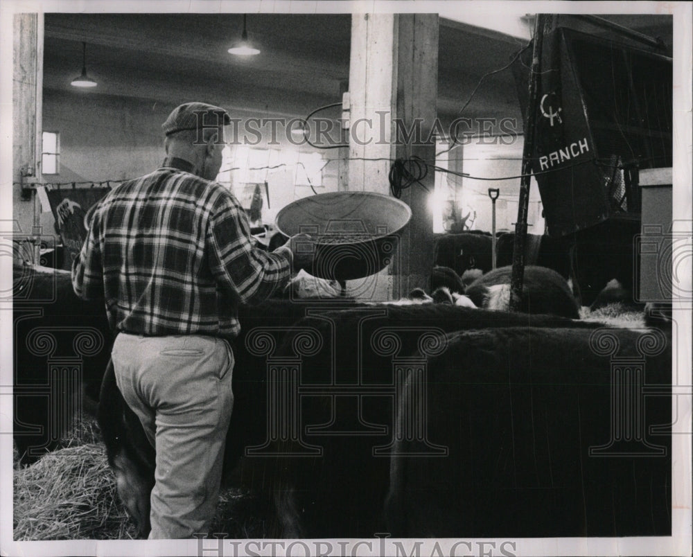 1963 Press Photo Western Stock Show Art Kilian Cattle - RRW85977 - Historic Images
