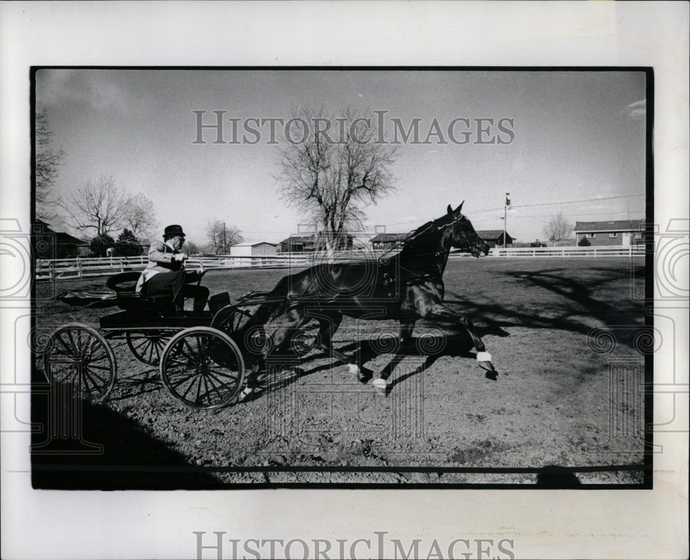 1979 Press Photo John Sipra Royal Flush Horse Show - RRW86193 - Historic Images