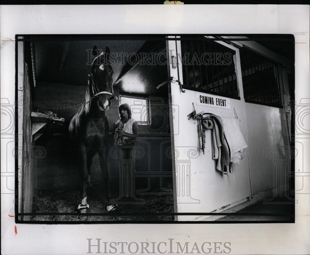 1979 Press Photo Horse Coming Event Brushed by Owner. - RRW86195 - Historic Images