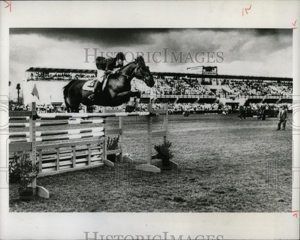 1981 Press Photo February Horse Show Palm Beach - RRW86213 - Historic Images