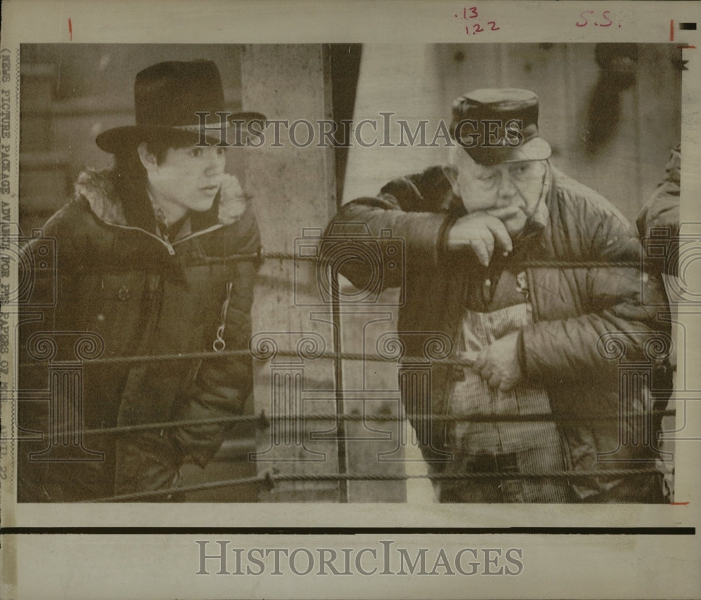 1974 Press Photo Horses (auction) - RRW86261 - Historic Images