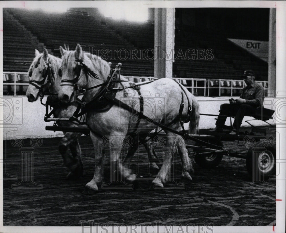 1981 Press Photo Draft Horses - RRW86343 - Historic Images