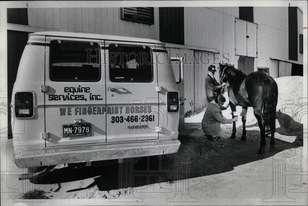1979 Press Photo Equine Services Horse Inspection - RRW86357 - Historic Images