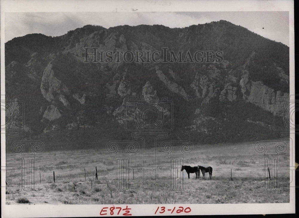 1983 Press Photo Horses Grazing Boulder Colorado Area - RRW86377 - Historic Images