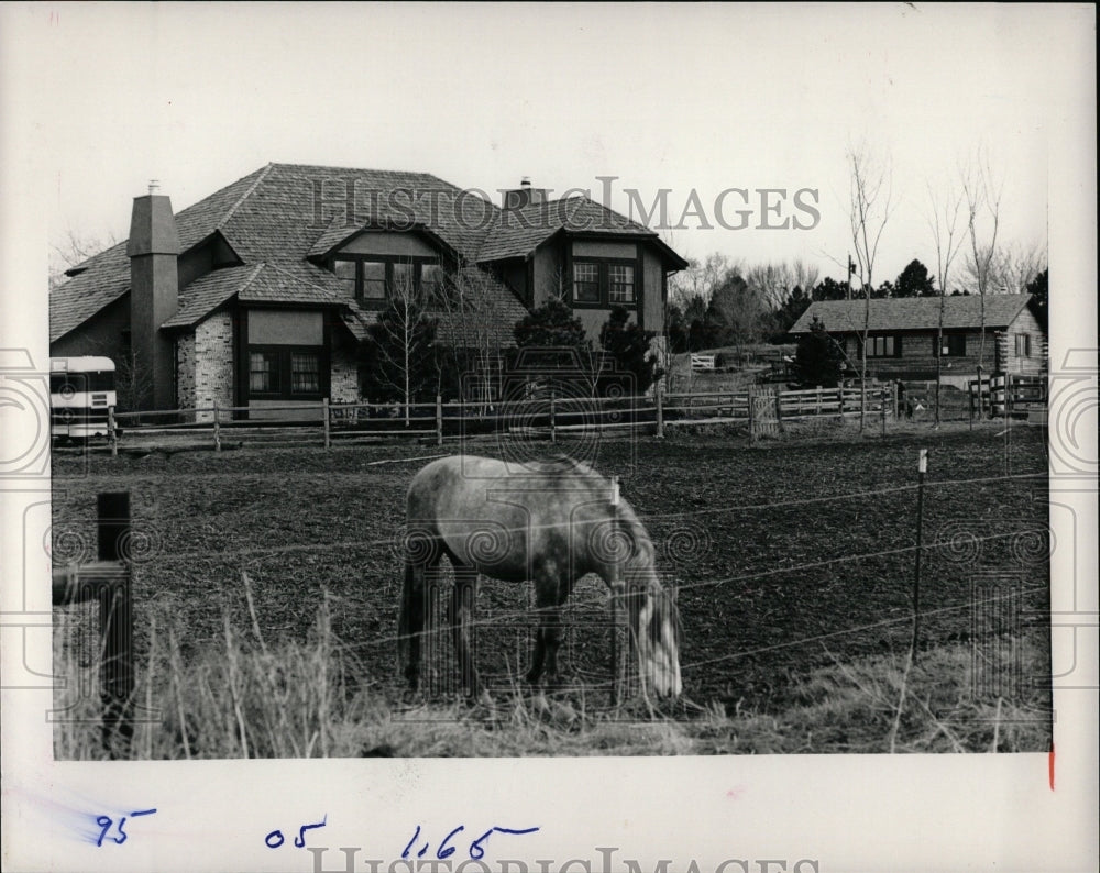 1984 Press Photo HORSES - RRW86381 - Historic Images