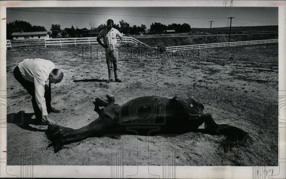 1971 Press Photo Earl Walker Stablesin Douglas Murray - RRW86385 - Historic Images