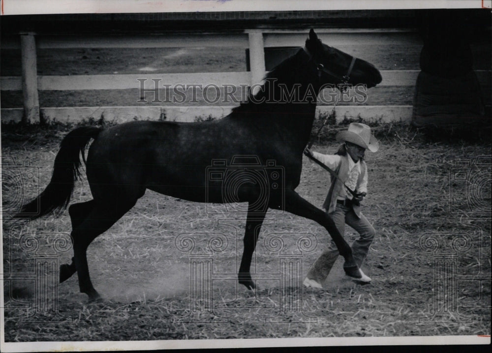 1973 Press Photo Horse Shows Colorado Home Ranch - RRW86407 - Historic Images