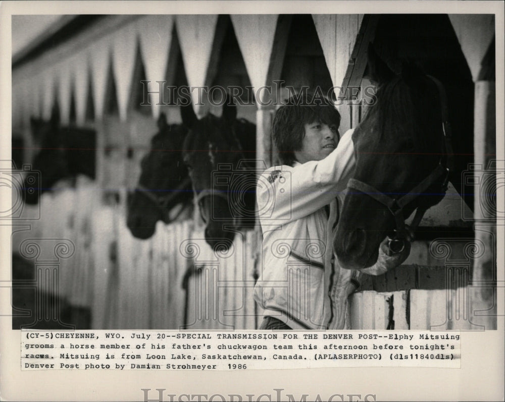 1986 Press Photo ELPHY MITSUING HORSE RACE - RRW86469 - Historic Images