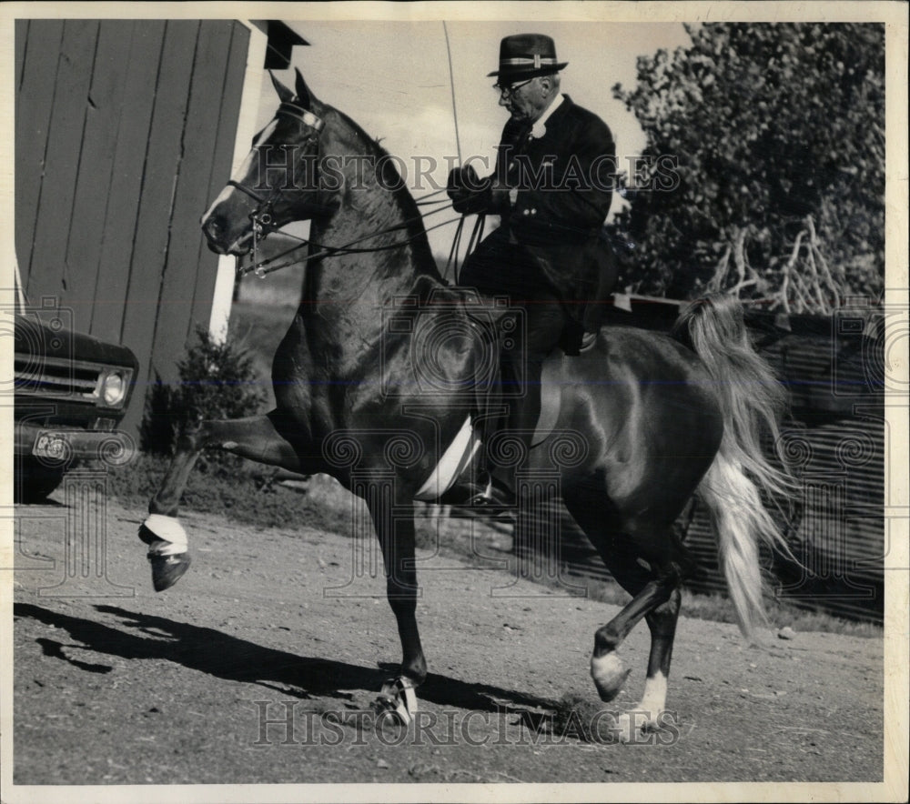 1970 Press Photo American Saddlebred Sizzling Sue - RRW86529 - Historic Images