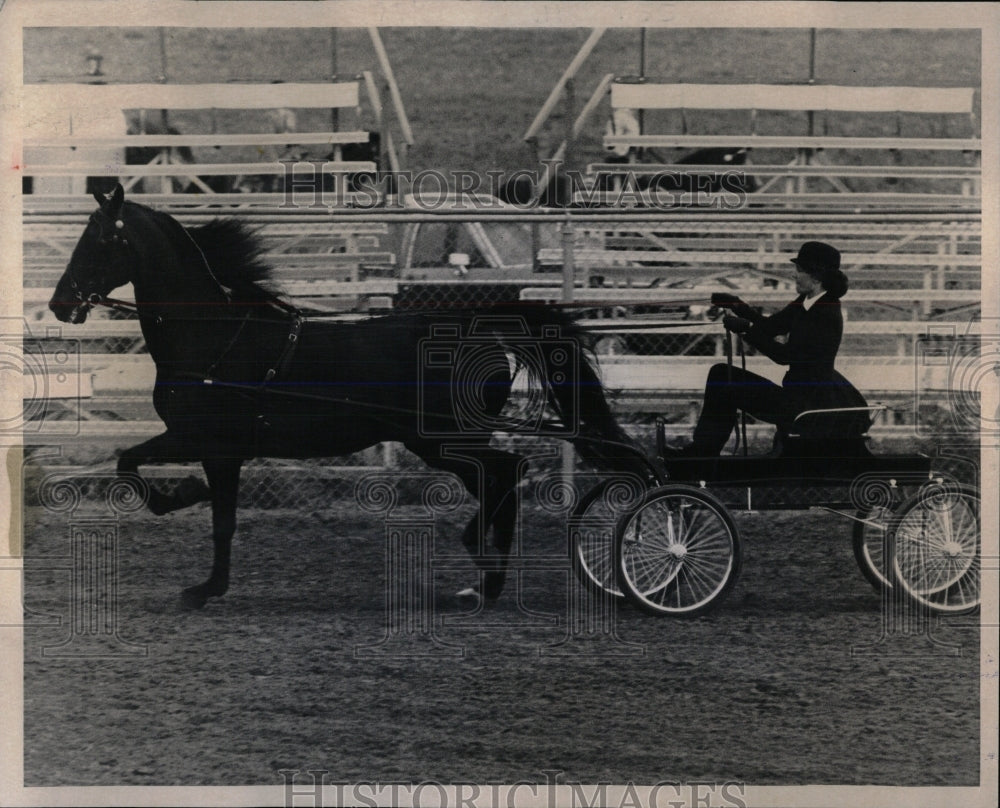 1973 Press Photo James Enstrom Black Label Horse Show - RRW86545 - Historic Images