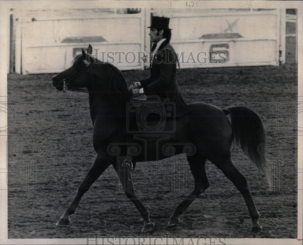 1973 Press Photo Arabian Park Horse Event Queen City - RRW86547 - Historic Images