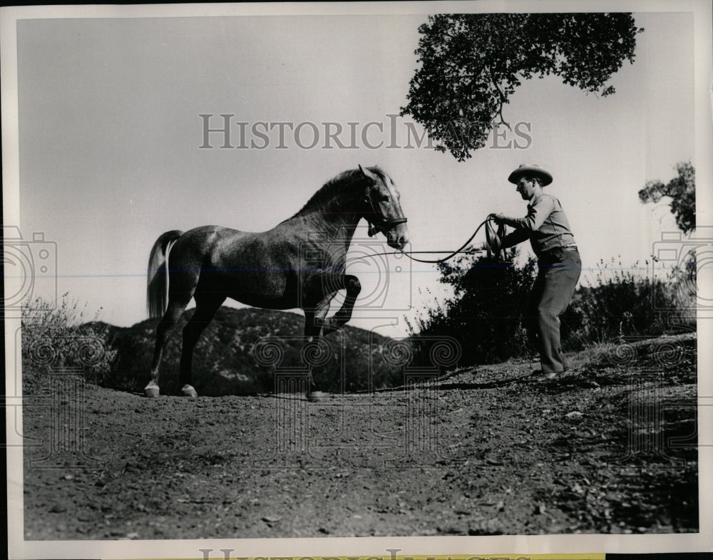 Press Photo Jack Joyce Teaching Horse Spanish Walk - RRW86557 - Historic Images