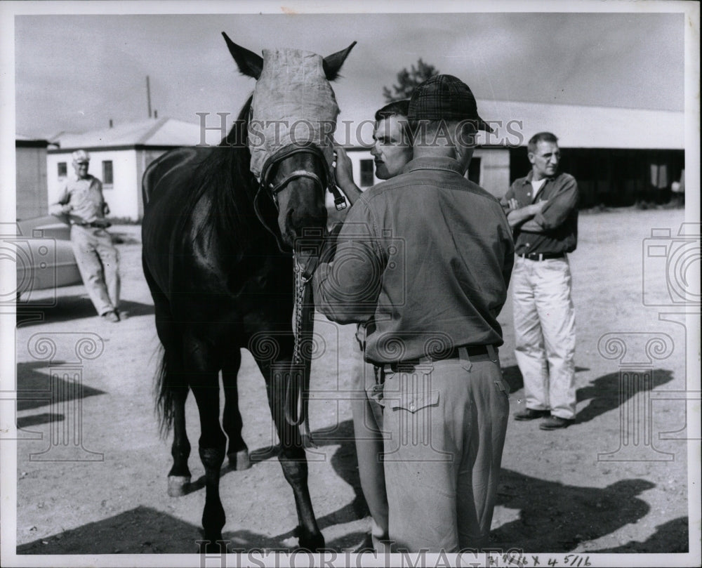 1960 Press Photo Danny life blindfolded surgery animal - RRW87737 - Historic Images