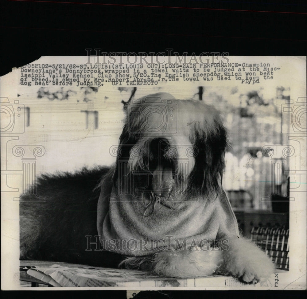 1962 Press Photo Mississippi Valley Kennel Club Show - RRW88347 - Historic Images