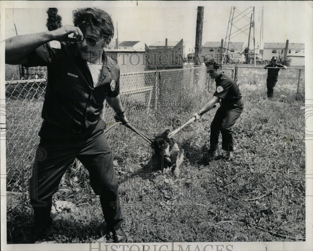 1974 Press Photo Animal Care Section - RRW88383 - Historic Images