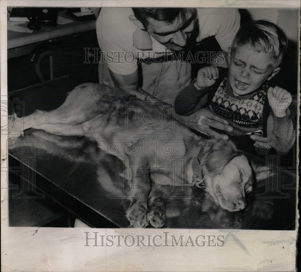 1962 Press Photo TONY VERNI BALDWIN PET FRISKY - RRW88415 - Historic Images