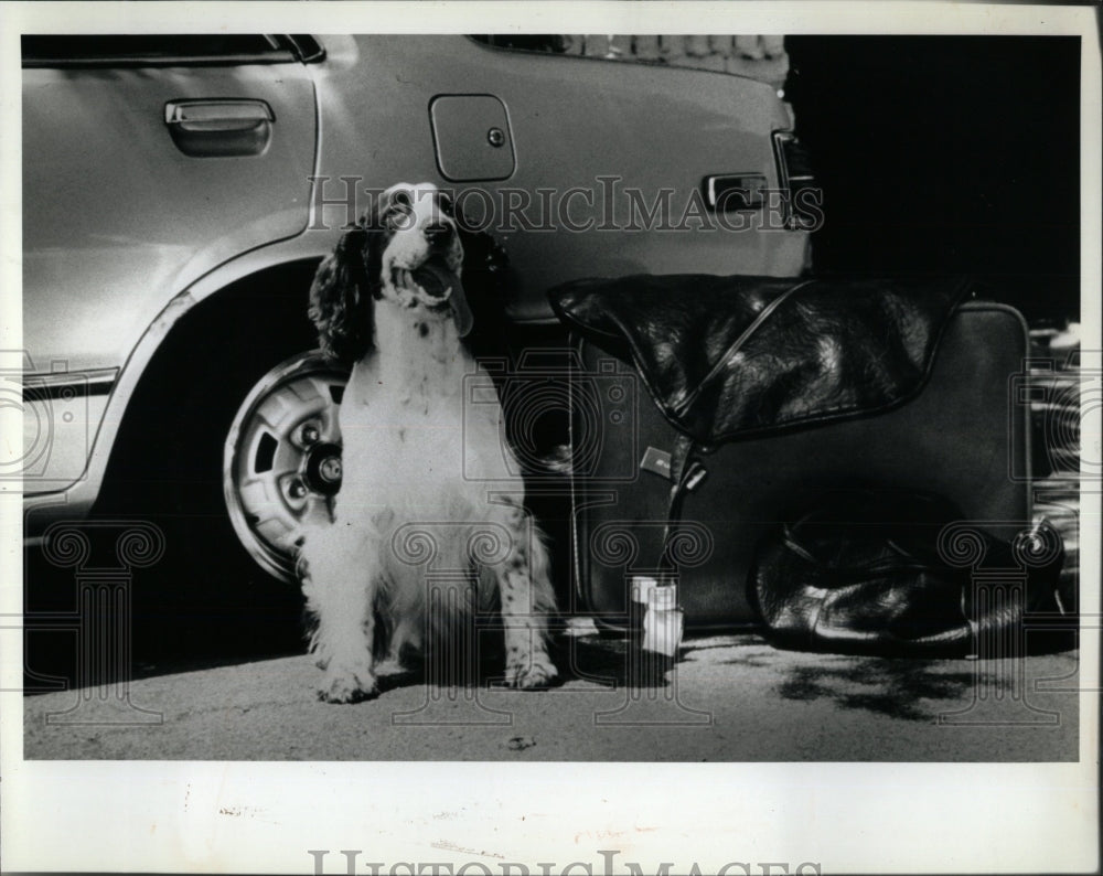 1990 Press Photo Enjoying Vacation with Pet Dog. - RRW88425 - Historic Images