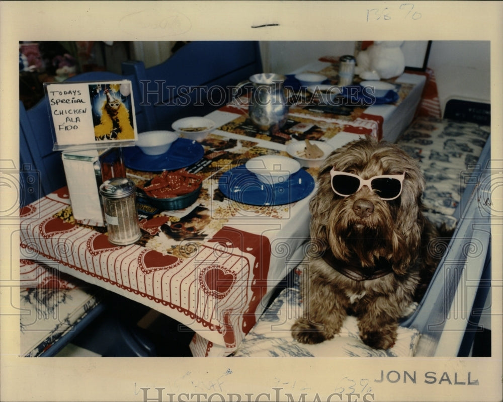 1993 Press Photo Chicago alderman dog pooch Foods - RRW88427 - Historic Images