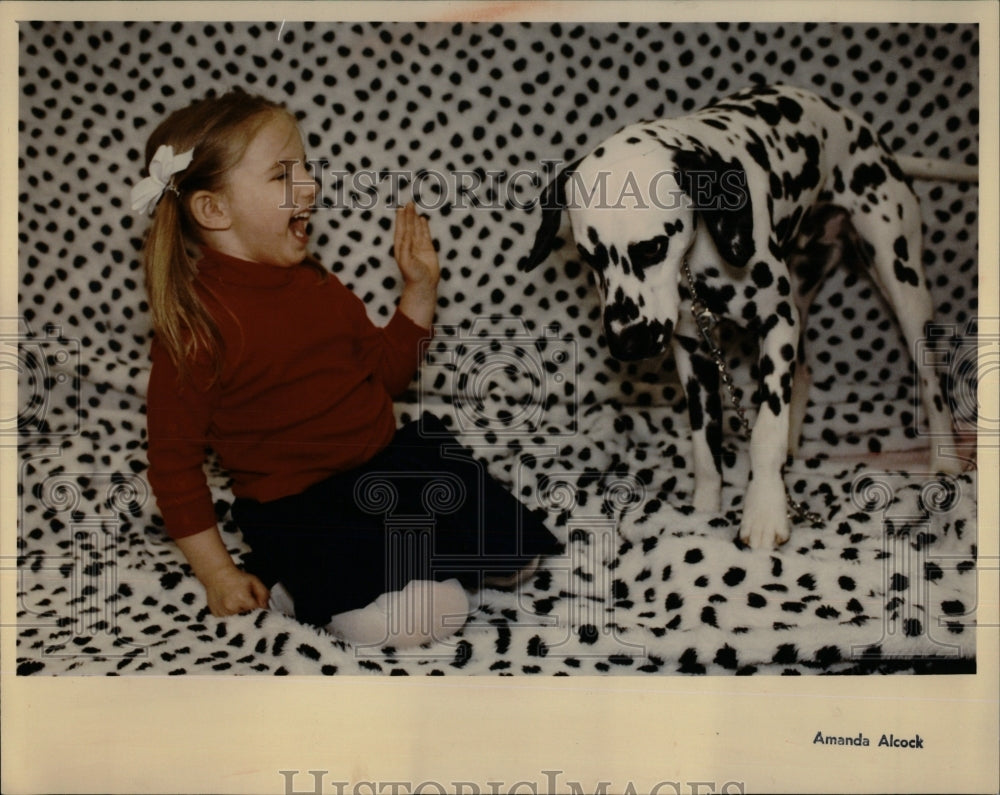 1992 Press Photo Dalmatian Dogs Breed - RRW88491 - Historic Images