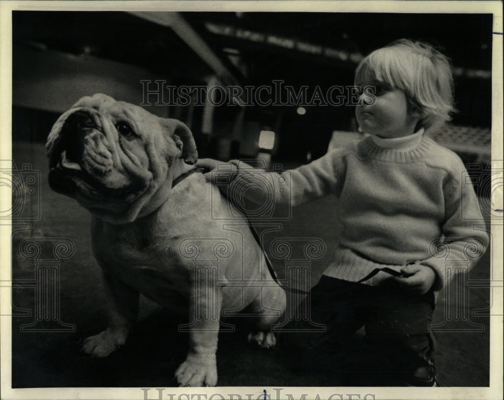 1978 Press Photo English Bulldog Breeds Mister Muscle - RRW88509 - Historic Images