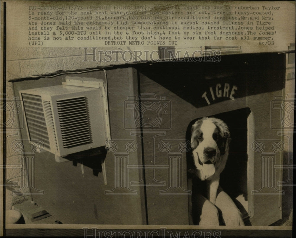 1973 Press Photo Dog Jones House - RRW88535 - Historic Images