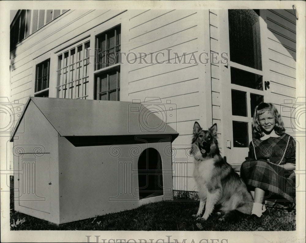 1963 Press Photo Veterinarians dogs protec animal draft - RRW88539 - Historic Images