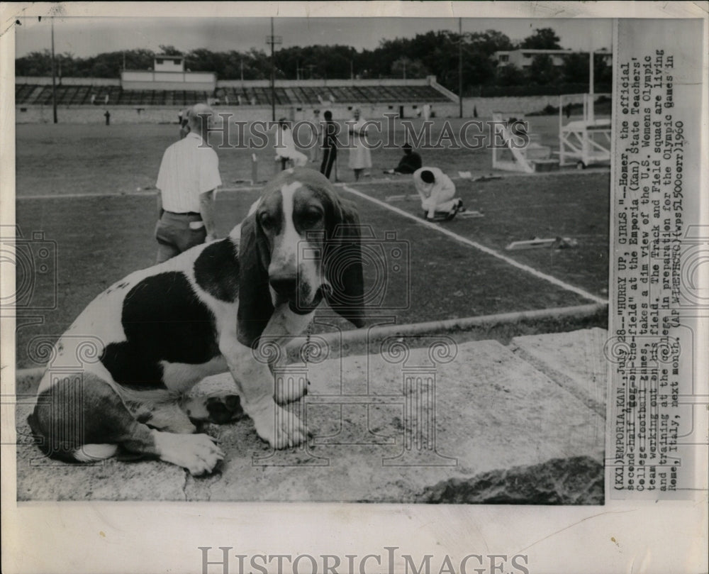 1960 Press Photo DOG BASSET HOUND WOMEN&#39;S OLYMPIC TEAM - RRW88565 - Historic Images