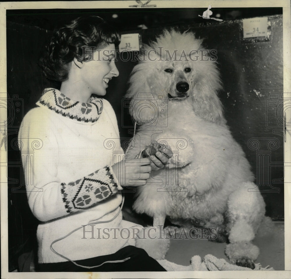 1961 Press Photo Pat Palmer Poodle Pet Dog Chicago - RRW88613 - Historic Images