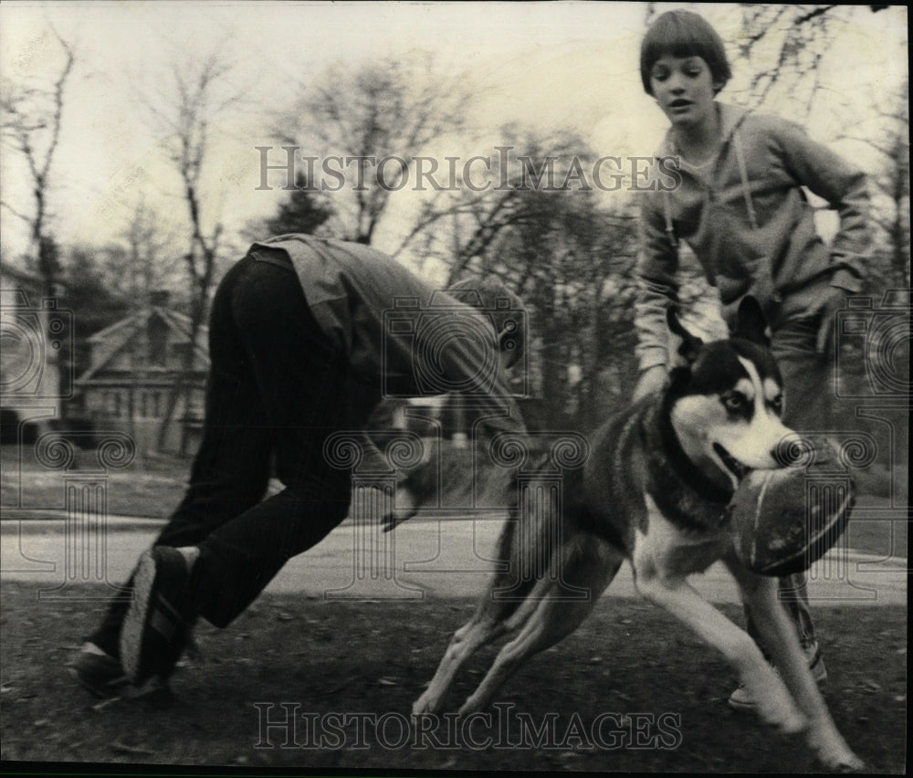 1981 Press Photo Dogs Lake Ellyn Gle Illinois Sunday Fo - RRW88645 - Historic Images