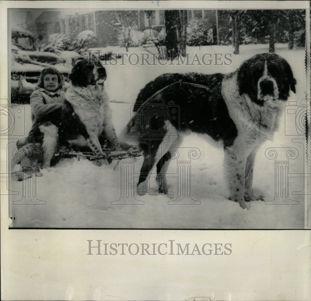 1950 Press Photo Debra Snead Chris Bernard - RRW88673 - Historic Images