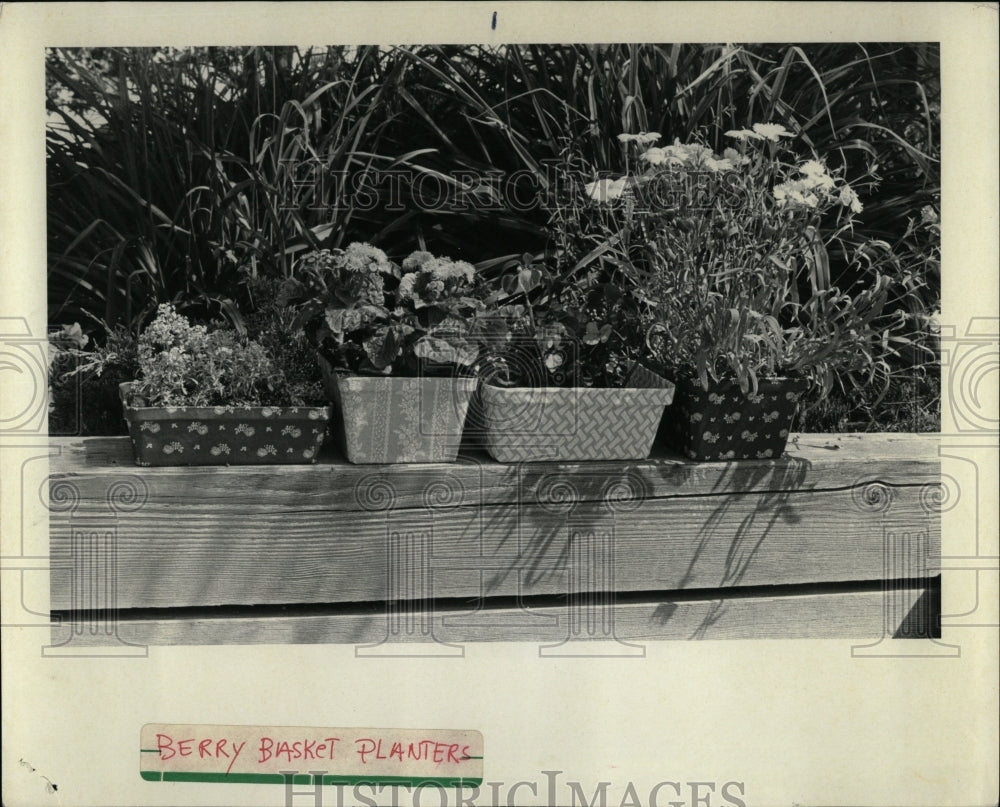 1987 Press Photo Berry Basket Planter Flower Plants - RRW88717 - Historic Images