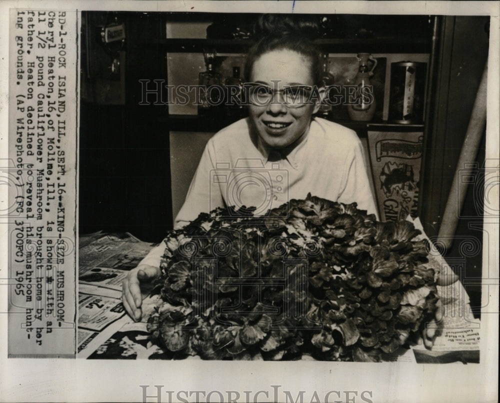 1965 Press Photo Cauliflower King Size Mushroom - RRW89355 - Historic Images