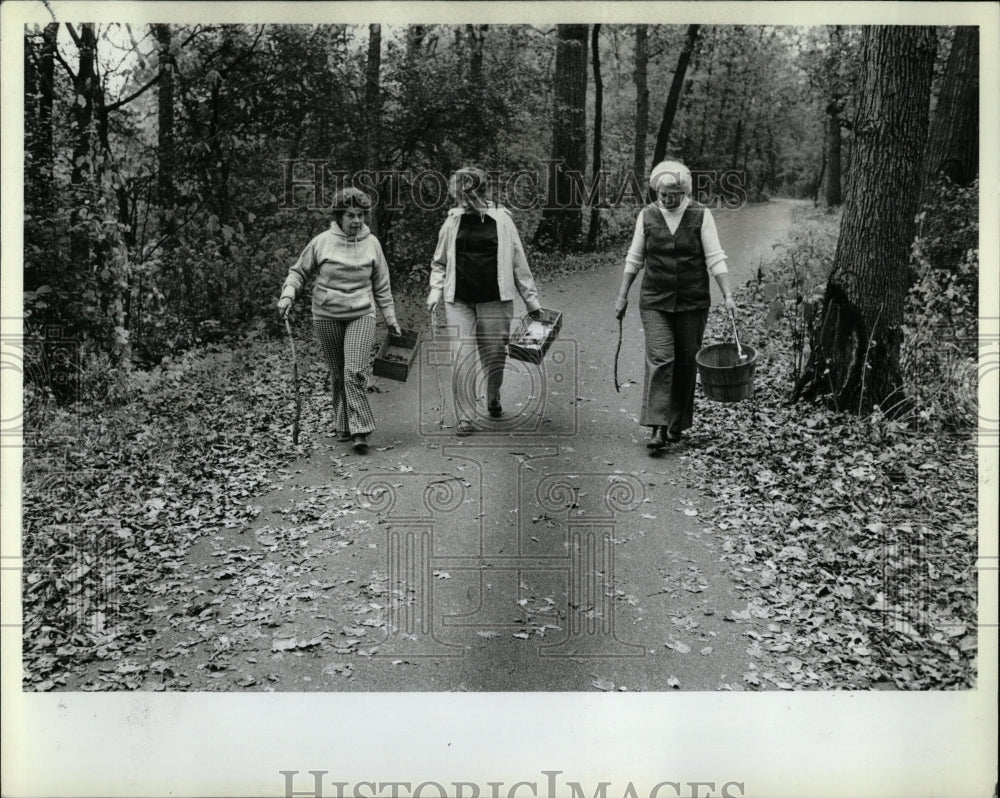 1982 Press Photo Mushrooms Forest Preserve - RRW89361 - Historic Images