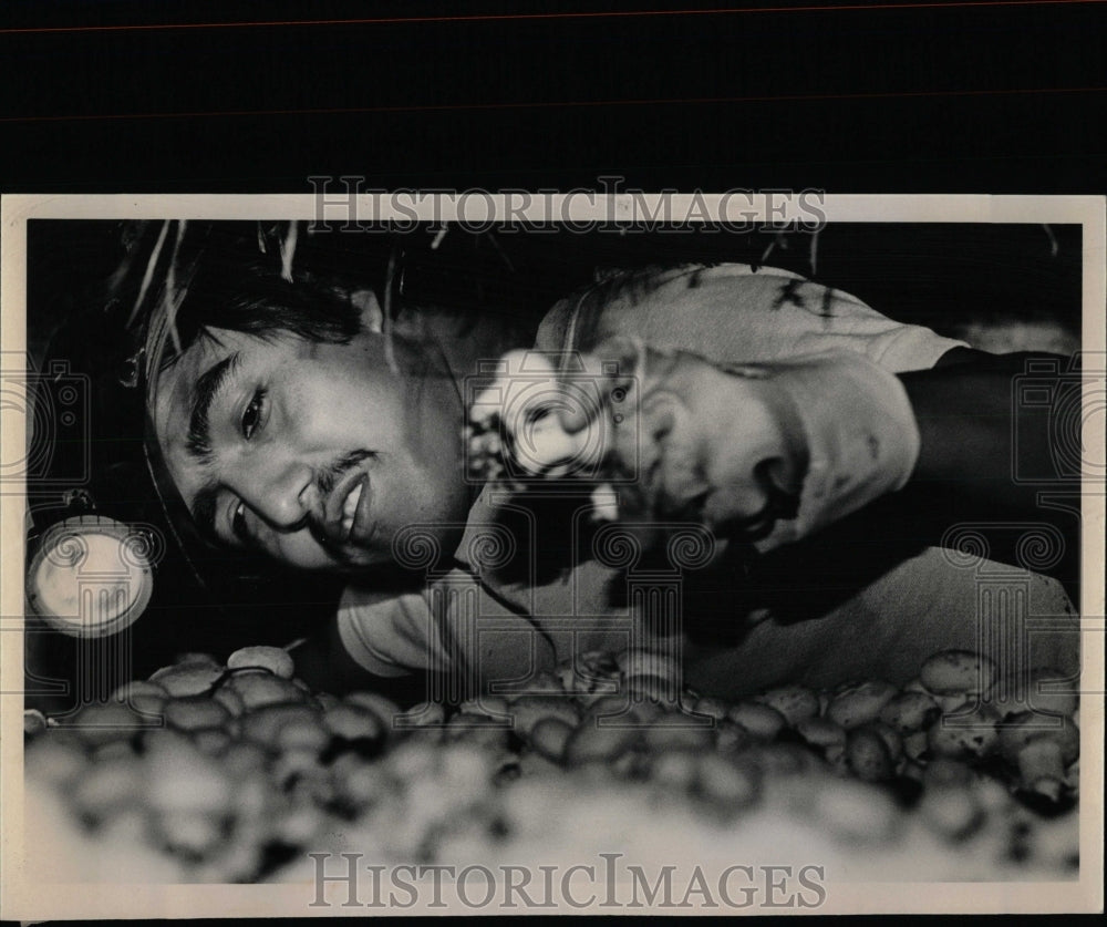 1980 Press Photo Luis Reyes Picks Mushrooms Dark Room - RRW89367 - Historic Images